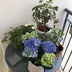 Apartamento Buonconsiglio Trento