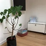 Buonconsiglio *