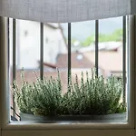 Buonconsiglio Apartamento *