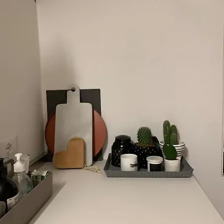 Buonconsiglio Apartment