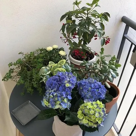 Apartmán Buonconsiglio Trento