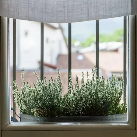 Buonconsiglio Apartmán *