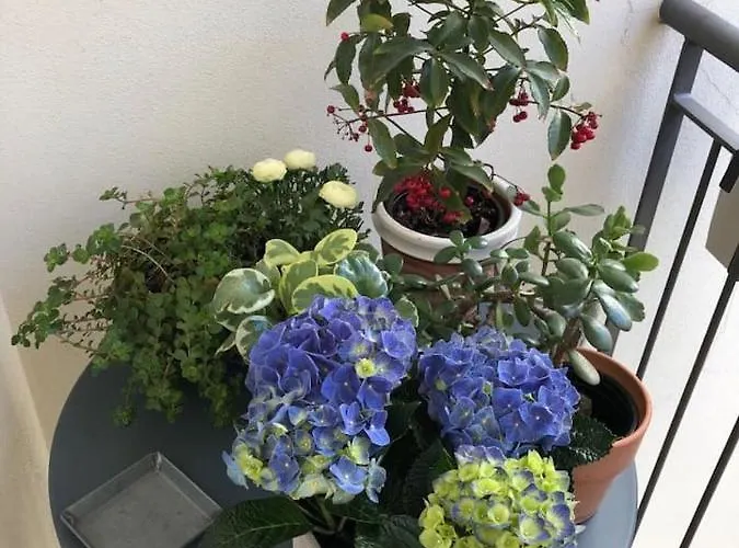 Apartamento Buonconsiglio Trento