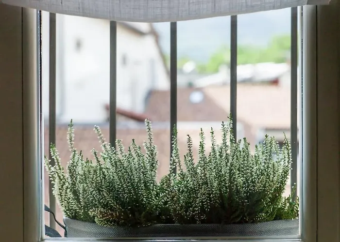 Buonconsiglio Appartamento *